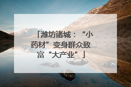 潍坊诸城：“小药材”变身群众致富“大产业”