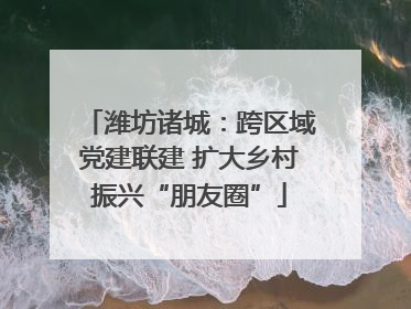 潍坊诸城：跨区域党建联建 扩大乡村振兴“朋友圈”