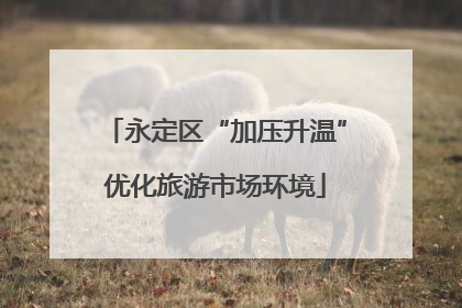 永定区“加压升温”优化旅游市场环境