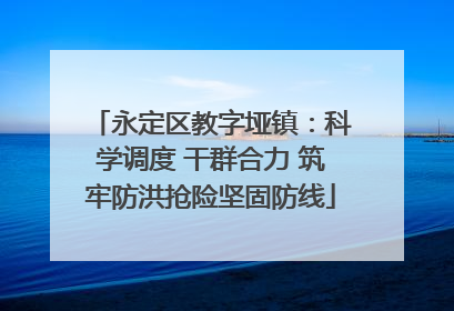 永定区教字垭镇：科学调度 干群合力 筑牢防洪抢险坚固防线