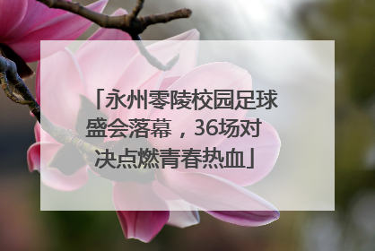 永州零陵校园足球盛会落幕，36场对决点燃青春热血