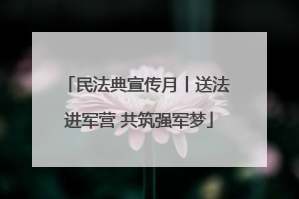 民法典宣传月丨送法进军营 共筑强军梦