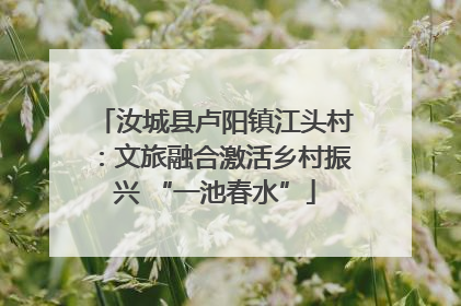 汝城县卢阳镇江头村：文旅融合激活乡村振兴 “一池春水”