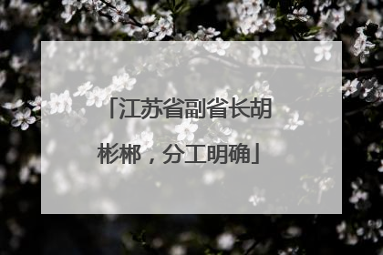 江苏省副省长胡彬郴，分工明确