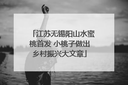 江苏无锡阳山水蜜桃首发 小桃子做出乡村振兴大文章