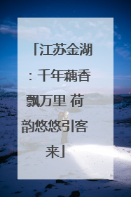 江苏金湖：千年藕香飘万里 荷韵悠悠引客来