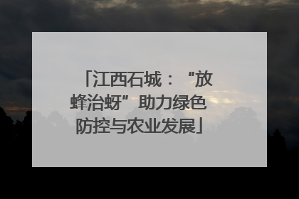 江西石城：“放蜂治蚜”助力绿色防控与农业发展