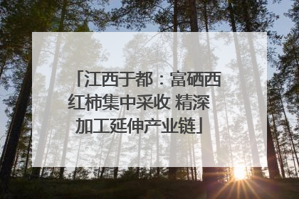 江西于都：富硒西红柿集中采收 精深加工延伸产业链