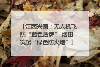 江西兴国：无人机飞防“蓝色盾牌” 烟田筑起“绿色防火墙”