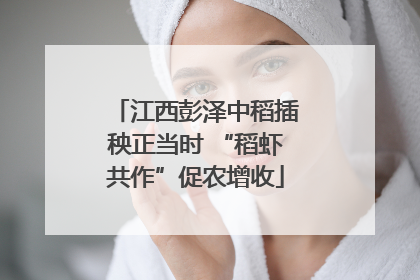 江西彭泽中稻插秧正当时 “稻虾共作”促农增收