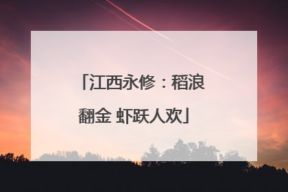 江西永修：稻浪翻金 虾跃人欢