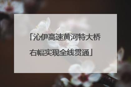 沁伊高速黄河特大桥右幅实现全线贯通