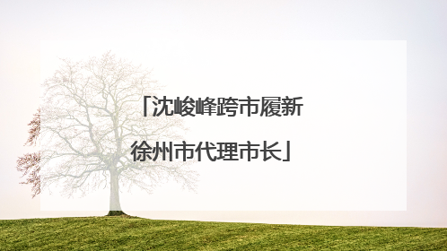 沈峻峰跨市履新徐州市代理市长