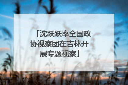 沈跃跃率全国政协视察团在吉林开展专题视察