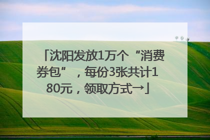 沈阳发放1万个“消费券包”，每份3张共计180元，领取方式→
