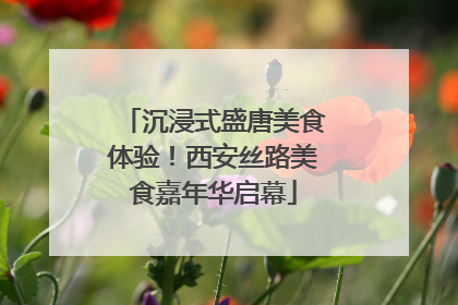 沉浸式盛唐美食体验！西安丝路美食嘉年华启幕