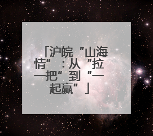 沪皖“山海情”：从“拉一把”到“一起赢”