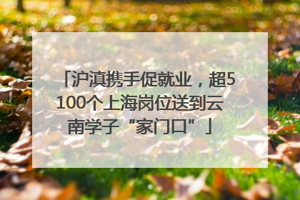 沪滇携手促就业，超5100个上海岗位送到云南学子“家门口”