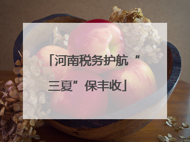河南税务护航“三夏”保丰收