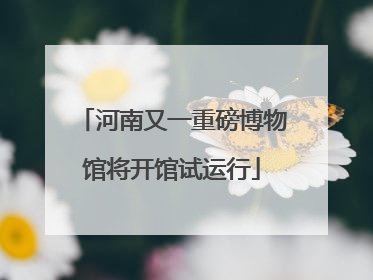 河南又一重磅博物馆将开馆试运行