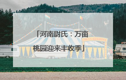 河南尉氏：万亩桃园迎来丰收季