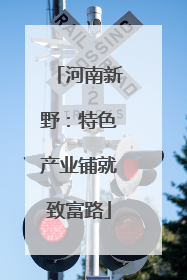 河南新野：特色产业铺就致富路