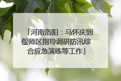 河南洛阳：马怀庆到偃师区指导调研防汛综合应急演练等工作
