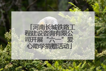 河南长城铁路工程建设咨询有限公司开展“六一”爱心助学捐赠活动