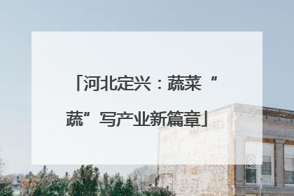 河北定兴：蔬菜“蔬”写产业新篇章