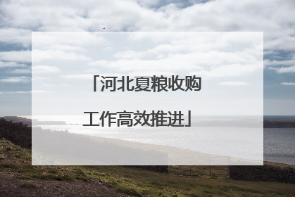 河北夏粮收购工作高效推进