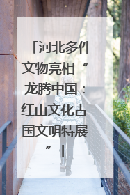 河北多件文物亮相“龙腾中国：红山文化古国文明特展”