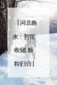 河北衡水：智能收储 颗粒归仓