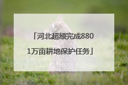 河北超额完成8801万亩耕地保护任务