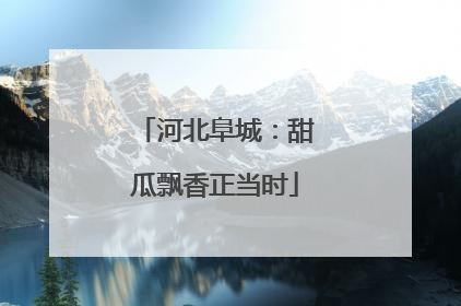 河北阜城：甜瓜飘香正当时