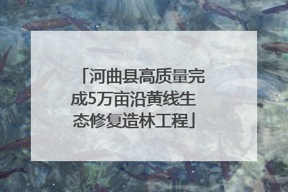 河曲县高质量完成5万亩沿黄线生态修复造林工程
