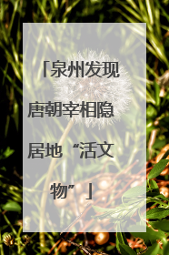 泉州发现唐朝宰相隐居地“活文物”