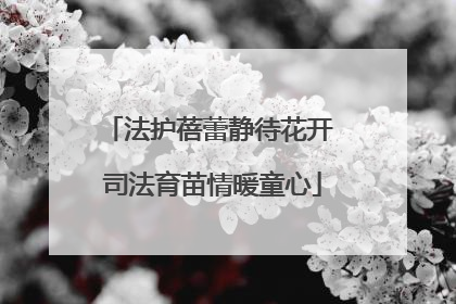法护蓓蕾静待花开 司法育苗情暖童心
