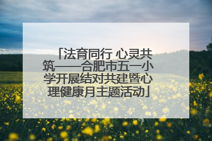 法育同行 心灵共筑——合肥市五一小学开展结对共建暨心理健康月主题活动