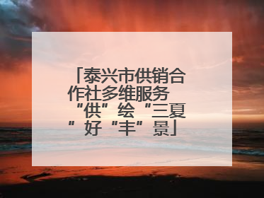 泰兴市供销合作社多维服务 “供”绘“三夏”好“丰”景