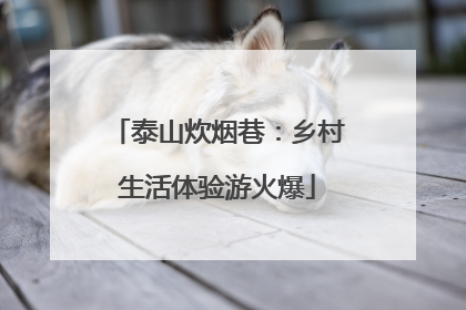 泰山炊烟巷：乡村生活体验游火爆