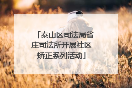 泰山区司法局省庄司法所开展社区矫正系列活动