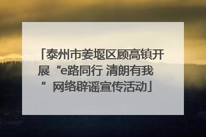 泰州市姜堰区顾高镇开展“e路同行 清朗有我”网络辟谣宣传活动
