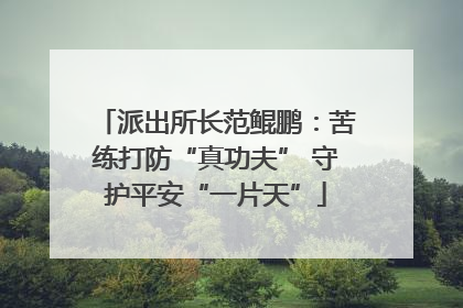 派出所长范鲲鹏：苦练打防“真功夫” 守护平安“一片天”