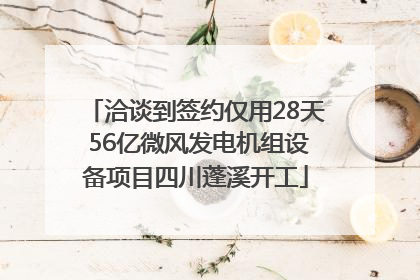 洽谈到签约仅用28天 56亿微风发电机组设备项目四川蓬溪开工