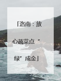 洛南：放心蔬菜点“绿”成金