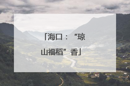 海口：“琼山福稻”香