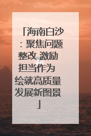 海南白沙：聚焦问题整改 激励担当作为 绘就高质量发展新图景