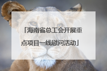 海南省总工会开展重点项目一线慰问活动
