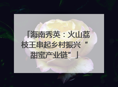 海南秀英：火山荔枝王串起乡村振兴“甜蜜产业链”