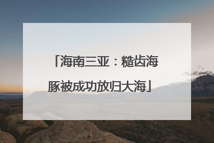 海南三亚：糙齿海豚被成功放归大海
